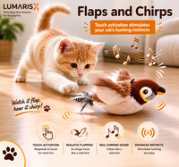 Interactive Flapping Bird Cat Toy — Touch Activated