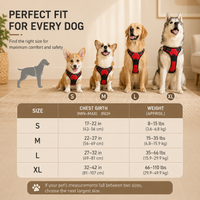 Adjustable Dog Harness & Leash Set