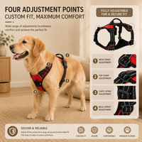 Adjustable Dog Harness & Leash Set