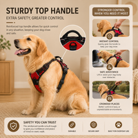 Adjustable Dog Harness & Leash Set