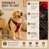 Adjustable Dog Harness & Leash Set