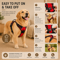 Adjustable Dog Harness & Leash Set