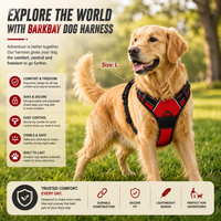 Adjustable Dog Harness & Leash Set