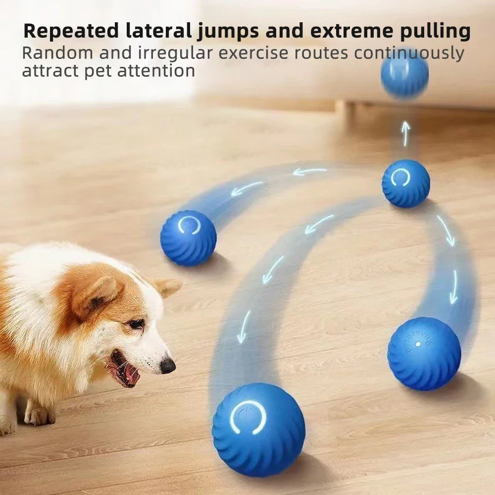 PawBall™ — Self-Moving Ball for Dogs & Cats | LumarisX
