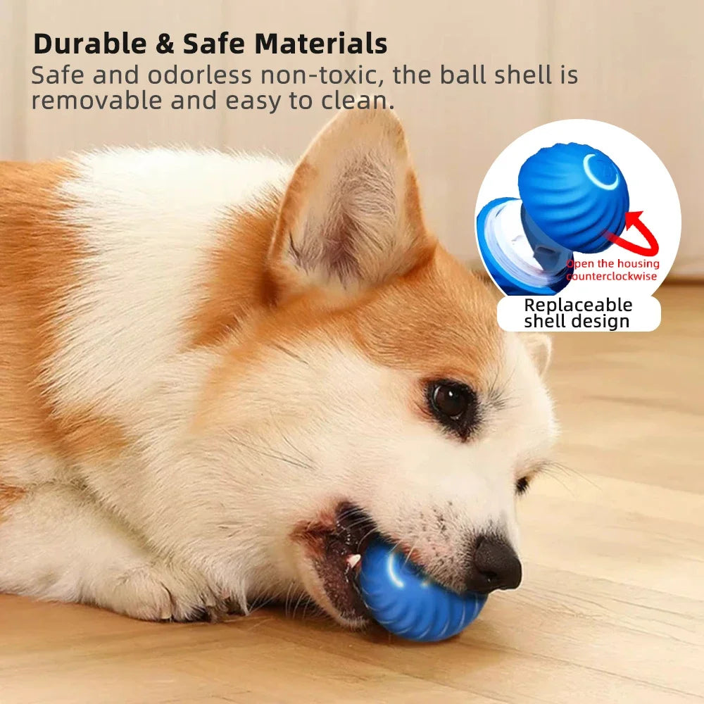 PawBall™ — Self-Moving Ball for Dogs & Cats | LumarisX